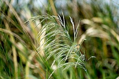 经典恋爱游戏 《ToHeart》重制版Steam页面上线 6月26日发售